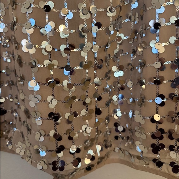 Zara Silver Sequin Beige Square Neck Mini Dress- Small - Picture 6 of 16